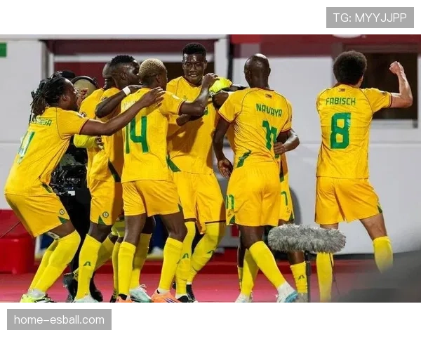 南非非洲杯小组赛2比1击败安哥拉 福斯特破门助球队取开门红